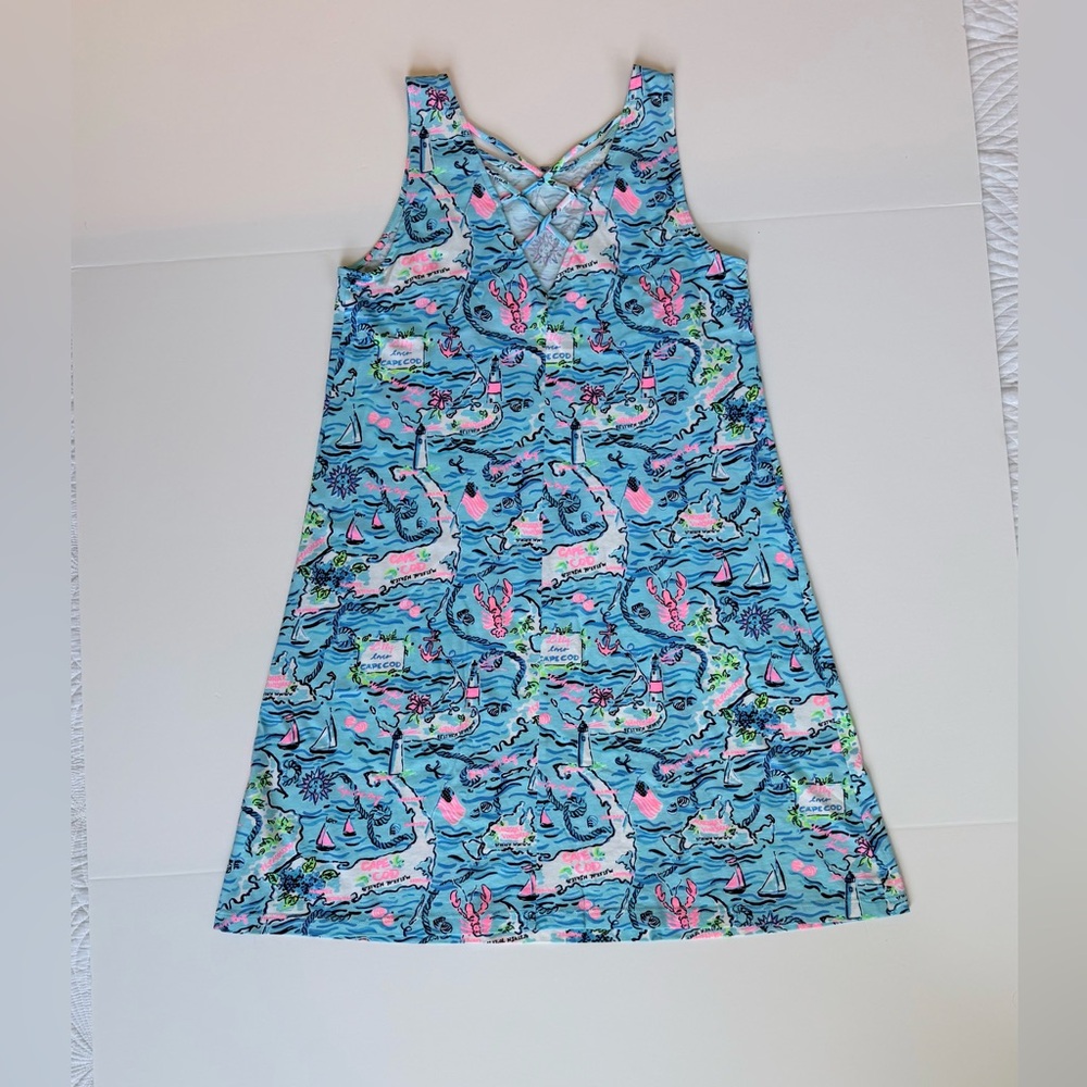 Lilly Pulitzer Kristen Swing Dress, Lilly Loves Cape Cod Bali Blue | Size XS - Picture 6 of 8
